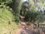 ...durchqueren wir den Parco del Monte Piccaro