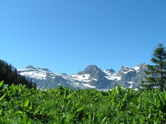 die Bergkette von Engelberg