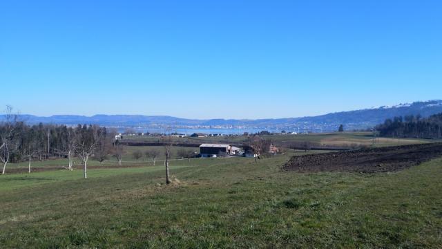 bei Ibikon erspähen wir den schönen Zugersee