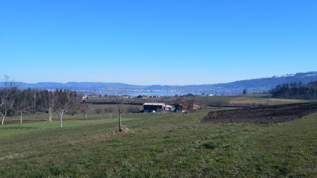 bei Ibikon erspähen wir den schönen Zugersee