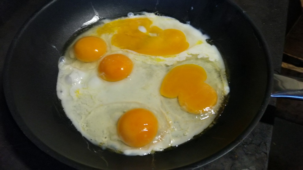 56.jpg