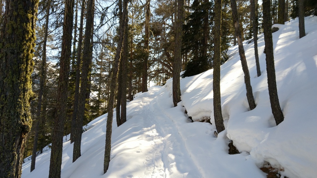 14.jpg