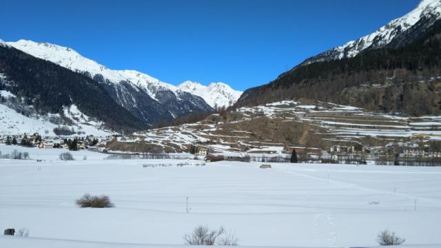 67.jpg