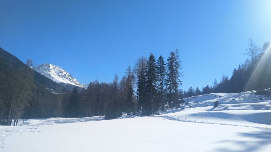 04.jpg