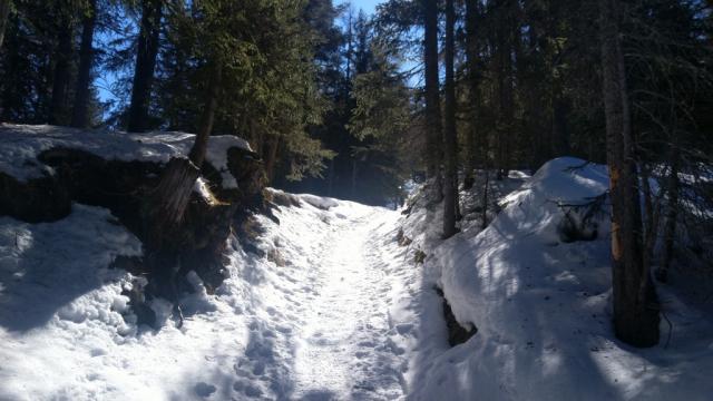 05.jpg