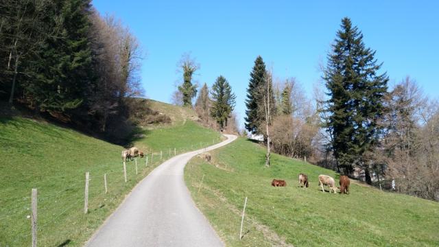 der Weg wird nun steiler