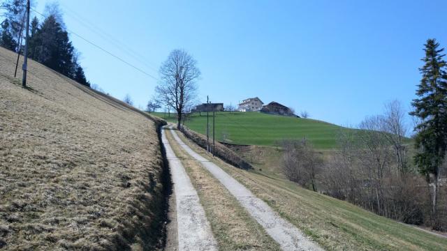 ...und neben Weideland dem von Rotgraben, geht es weiterhin aufwärts