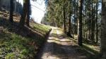 wir durchqueren den Wald bei Längenbühlschür