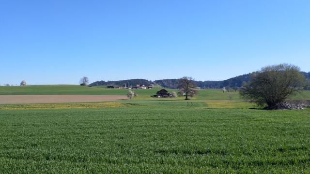 genau am Ostersonntag und bei prachtswetter wandern wir auf dem Luzerner Kapellenweg