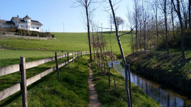 wieder direkt neben dem Rotbach, verlassen wir Grosswangen