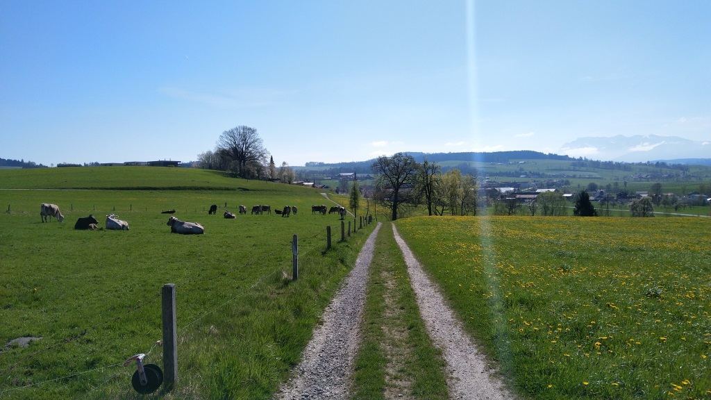 weiter geht es nach Buttisholz