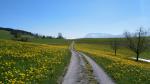 am Horizont taucht der Pilatus auf