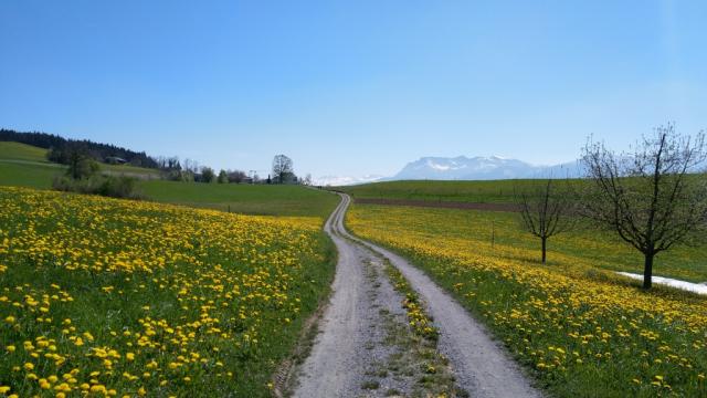 am Horizont taucht der Pilatus auf