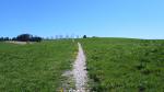 steil führt nun der Wanderweg aufwärts zur Anhöhe von Honig...