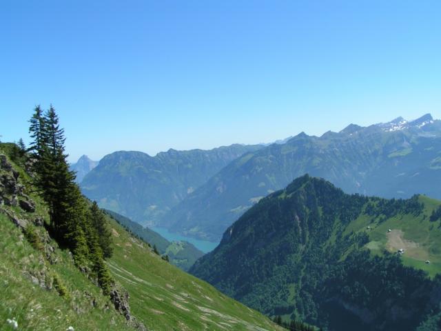 Mythen, Fronalpstock und Rophaien