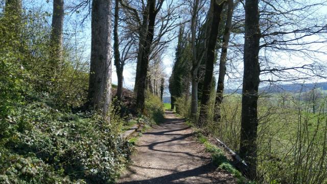 am Waldrand entlang wandern wir Richtung Hellbühl, das Ende der Wanderung