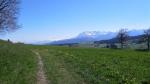 von dichter Überbauung wechselt der Weg in die offene Landschaft