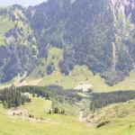 Blick runter nach Musenalp