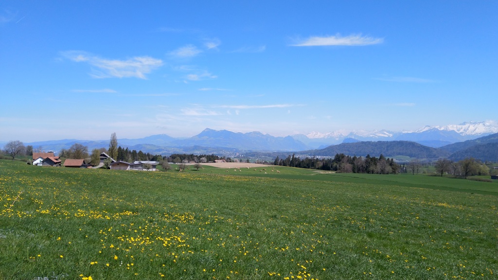 ...und die Rigi vor uns...