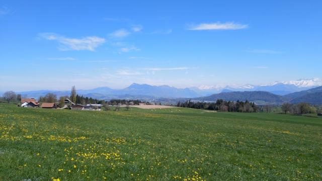 ...und die Rigi vor uns...