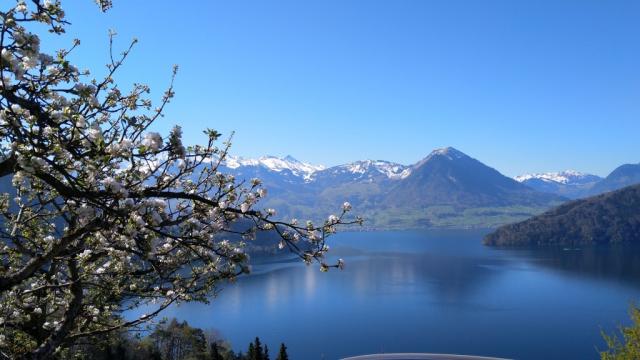 von hier oben Blicken wir auf den Vierwaldstättersee und Stanserhorn...