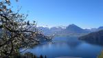 von hier oben Blicken wir auf den Vierwaldstättersee und Stanserhorn...