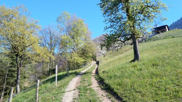 über einen schönen Wanderweg wandern wir stetig aufwärts