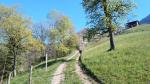 über einen schönen Wanderweg wandern wir stetig aufwärts