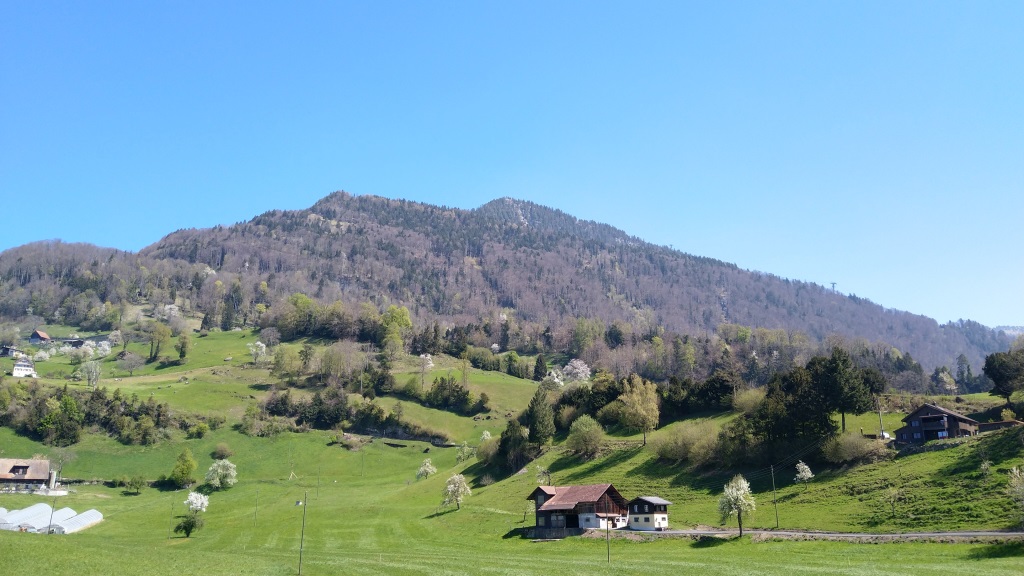 wir blicken hinauf zur Rigi