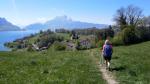 bei Höchi blicken wir auf die Halbinsel Hertenstein