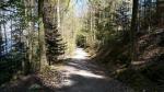 wir lassen Hertenstein links liegen und wandern durch den Herrenwald