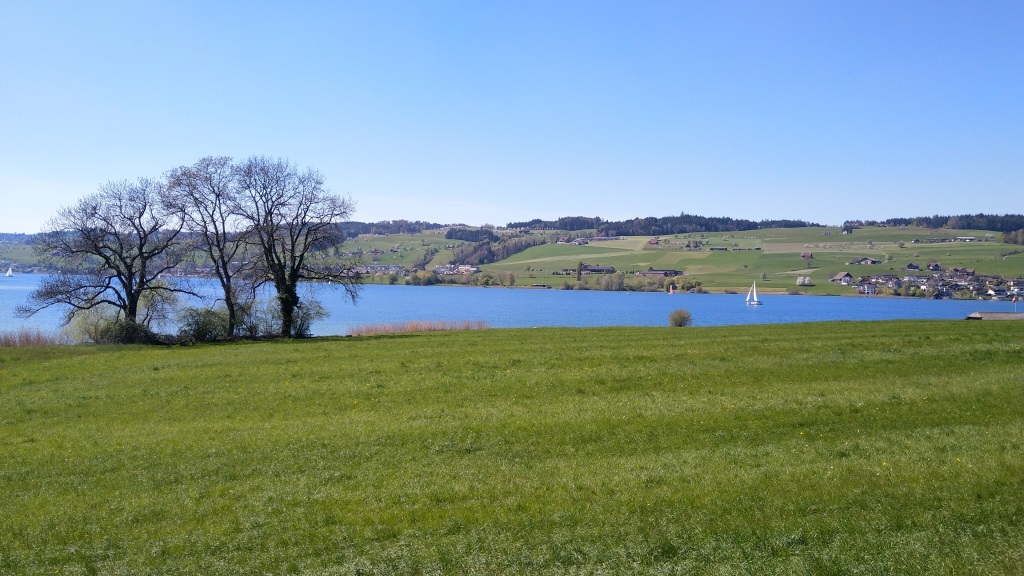 alles dem Küssnachtersee entlang, laufen wir nach Küssnacht am Rigi