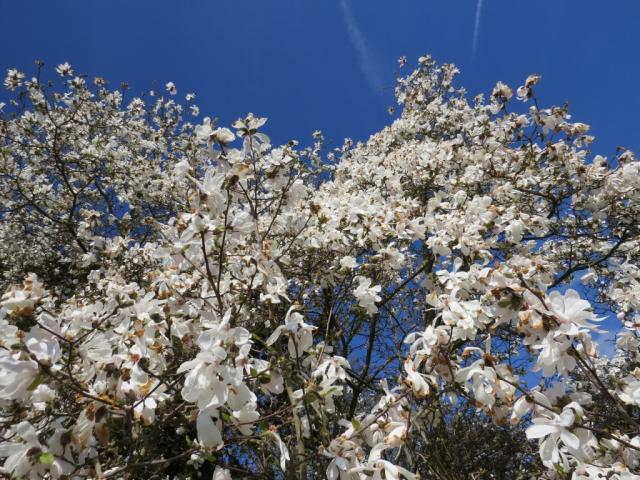 die Natur im Frühling ist einfach traumhaft