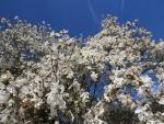 die Natur im Frühling ist einfach traumhaft