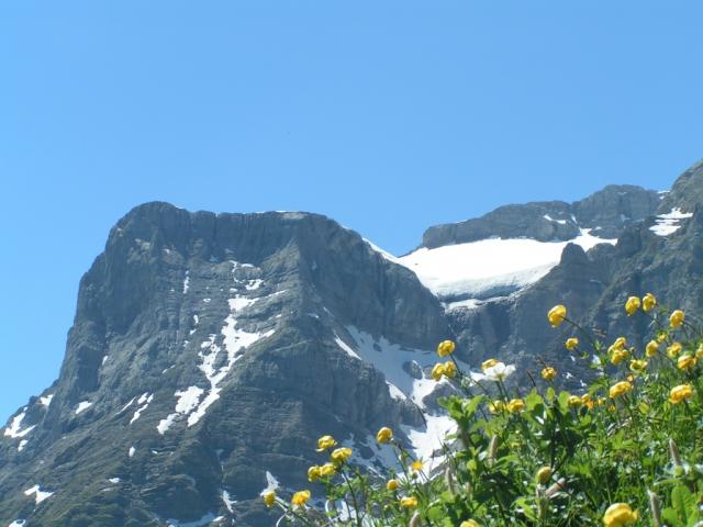 super diese Aussicht auf den Urirotstock