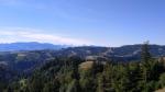 blick Richtung Napf, am Horizont sind die Berner Alpen erkennbar