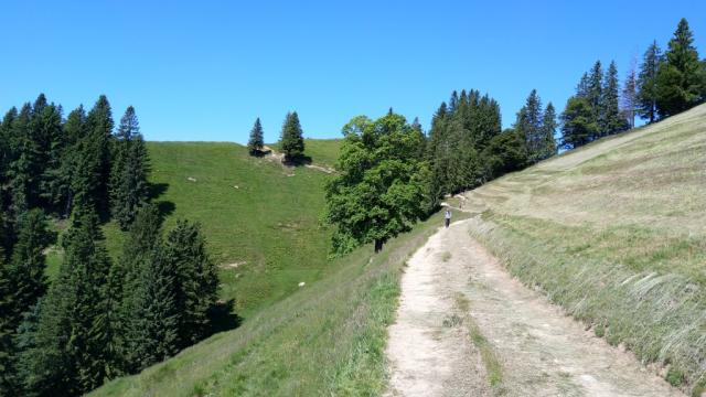 wir durchqueren den Berghang des Hängst, und wandern nun weiter Richtung Napf