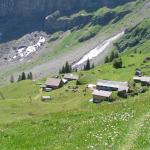 Bergweg führt uns runter nach Musenalp