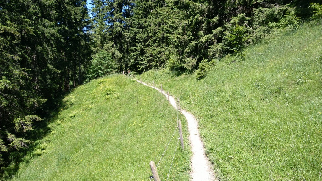 in stetem Auf und Ab geht es vorbei an kleinen Alpen...