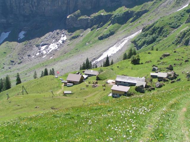 Bergweg führt uns runter nach Musenalp