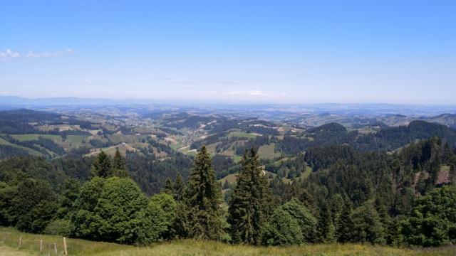 während dem Wandern bestaunen wir die wunderschöne Landschaft mit den Emmentaler Hügeln