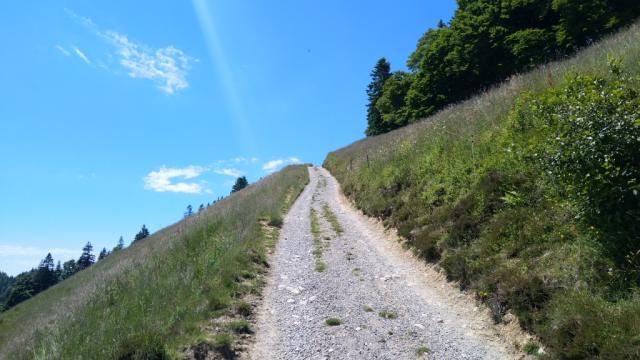 nach dem Änzisattel geht es steil aufwärts