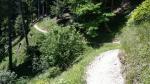 wunderschön windet sich der Wanderweg am Hang entlang