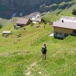 Mäusi erreicht Musenalp