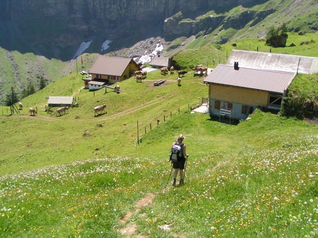 Mäusi erreicht Musenalp