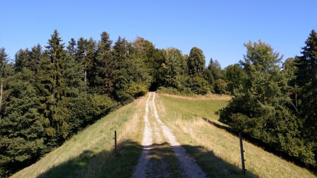 bei Gemmi wandern wir nun auf gleich bleibender Höhe alles dem Bergrücken entlang