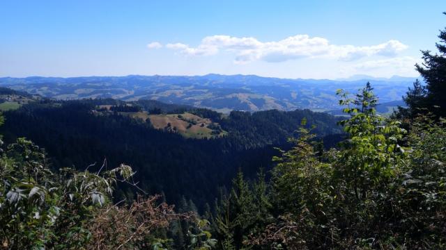 was für eine schöne Aussicht hier oben