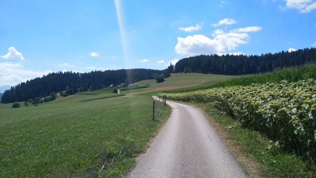 wir haben Grosshöchstetten verlassen und wandern nun Richtung Münsingen