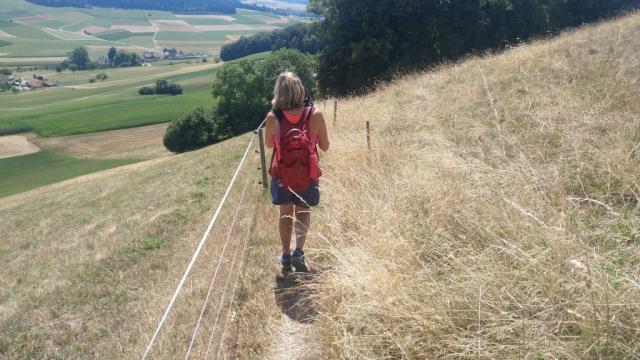 der Wanderweg führt uns nun in die Ebene hinunter