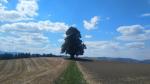 zwischen Felder und Wiesen geht es nach Münsingen